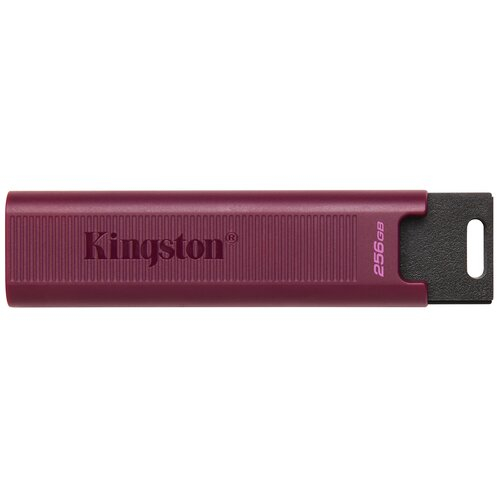 Kingston Datatraveler MAX DTMAXA 256Go 1000Mo/s USB3.2, Kingston Dimm DDR4 Fury Beast 16Go 3600Mhz RGB (1x16Go),  debarquent chez ASCII